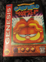 Garfield: Caught in the Act